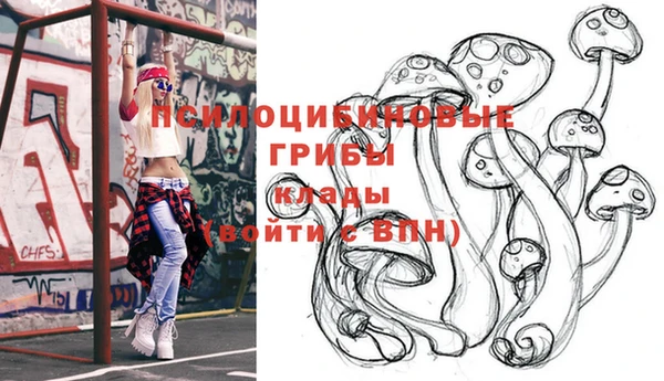бошки Балахна